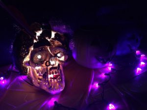 Inventionland Haunted House - Skull