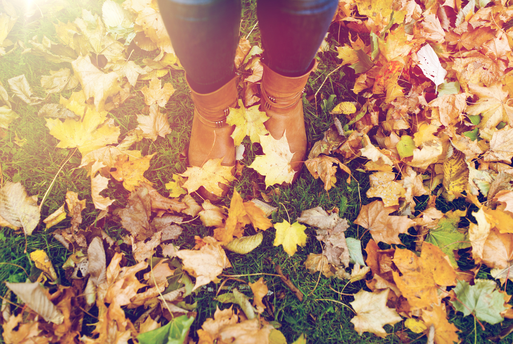 Invention Spotlight: Fall Inventions - Inventionland