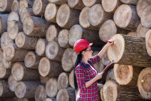 A female lumber engineer examines wood